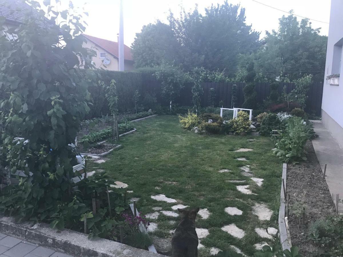 Valentina Apartment *